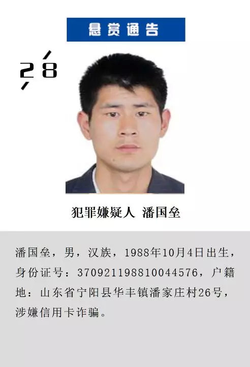 菏澤通緝網(wǎng)最新20名通緝犯,菏澤通緝網(wǎng)最新20名通緝犯，聚焦犯罪動態(tài)，警示社會安全