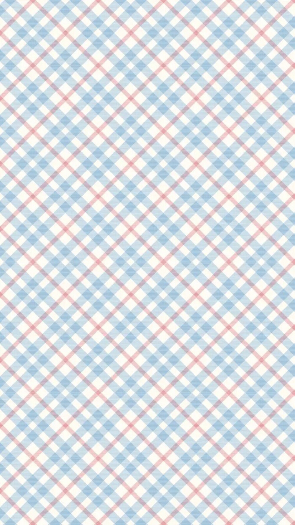 最新版格子日常趣事概覽