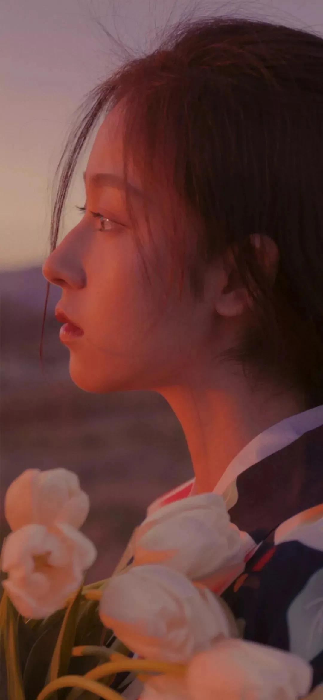 最新款蘋果手機(jī)，時(shí)代標(biāo)桿與科技創(chuàng)新之巔