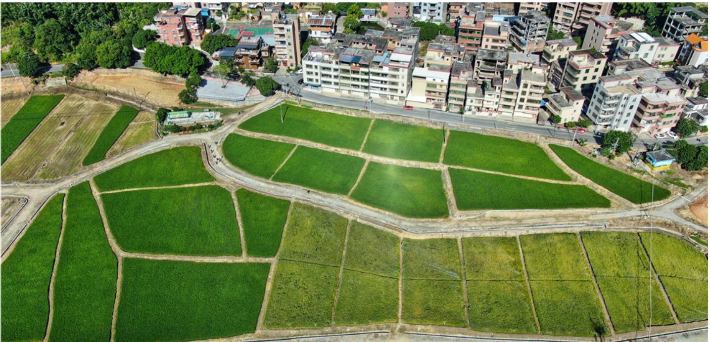 一川公司最新動(dòng)態(tài)更新