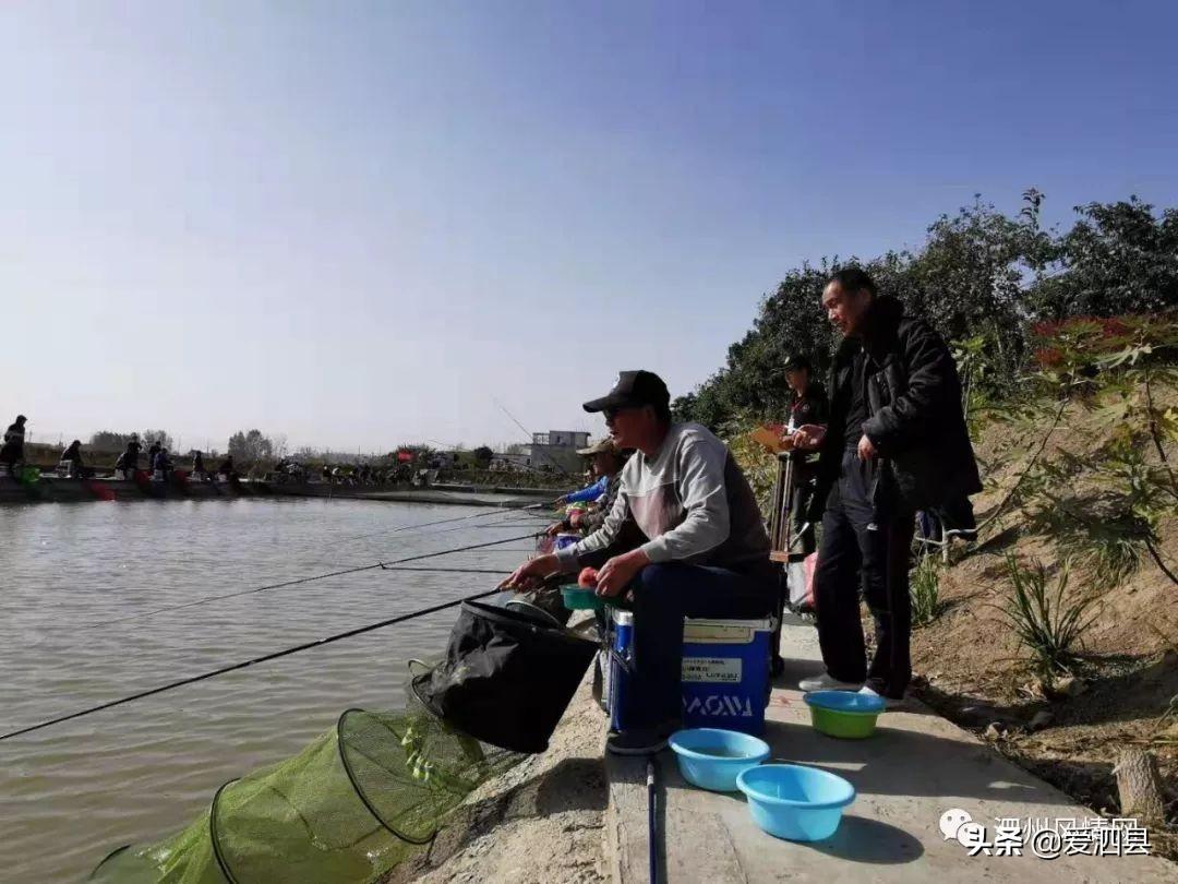 釣魚(yú)大比賽，文化與競(jìng)技的盛宴開(kāi)啟！