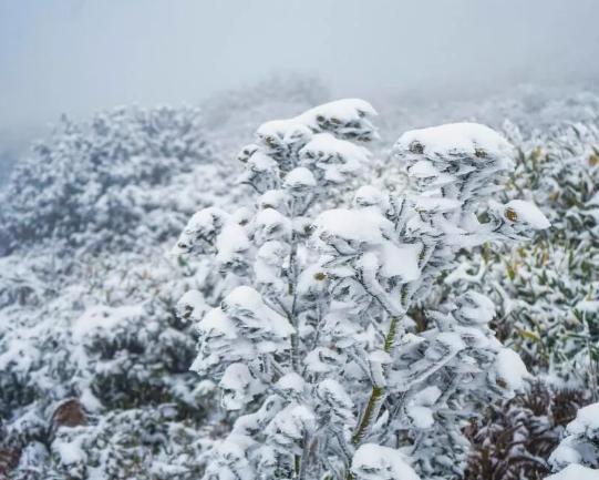 朝晨最新，探尋自然美景的旅程