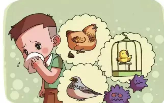 活禽市場動態(tài)深度解析，背景資訊與最新動態(tài)