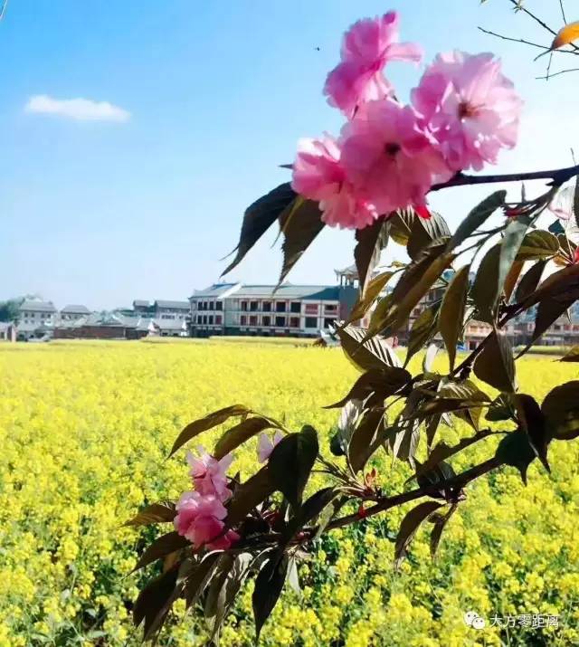 大方縣人事任免最新動(dòng)態(tài)，自然美景探索之旅啟程