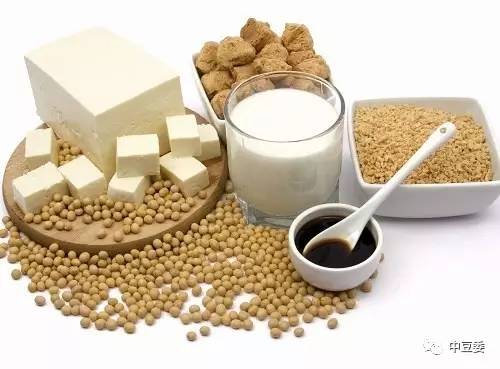 最新豆制品稅收政策及其觀點(diǎn)論述解析