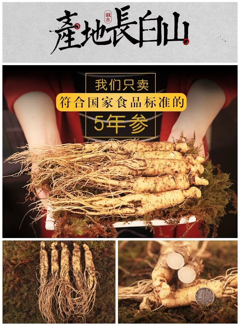 探尋鮮人參價(jià)格，自然之旅與內(nèi)心寧靜的交融