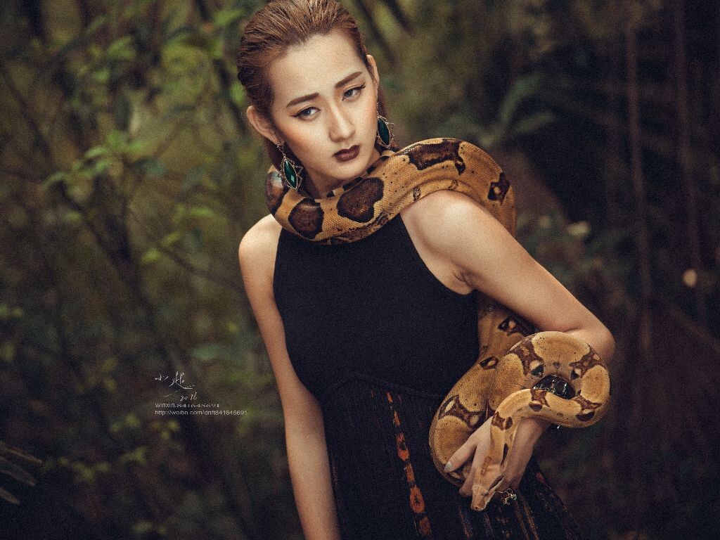 美女蛇演員的魅力世界探索