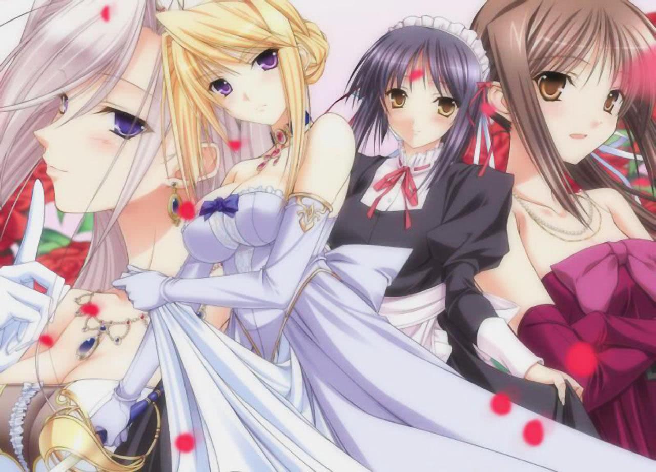 后宮動漫深度探討，角色、劇情與受眾分析