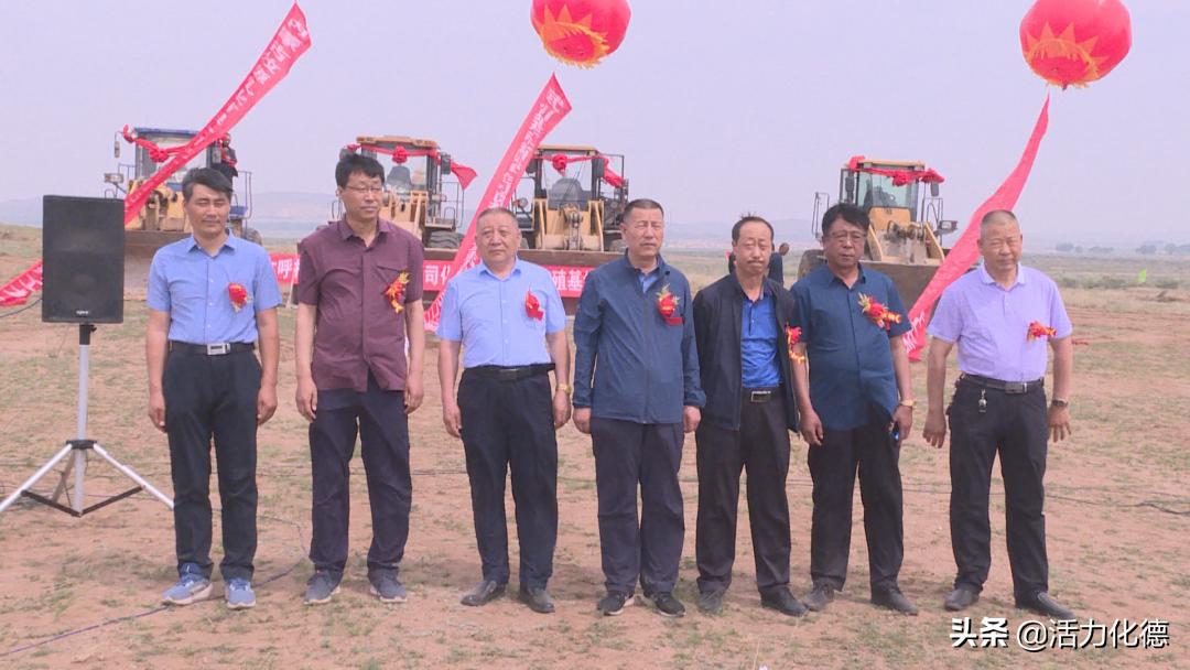 內(nèi)蒙驢價(jià)格行情深度解析與趨勢分析