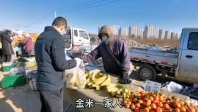 東北疫情最新情況更新