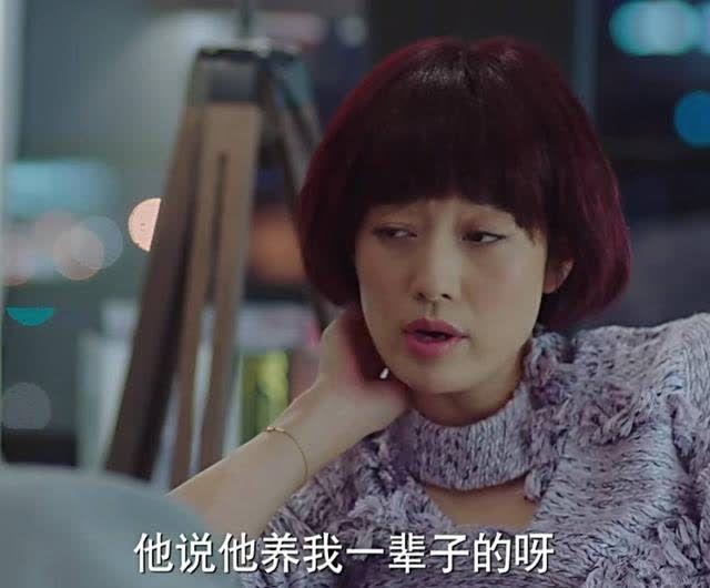 電視我的前半生,電視里的我的前半生