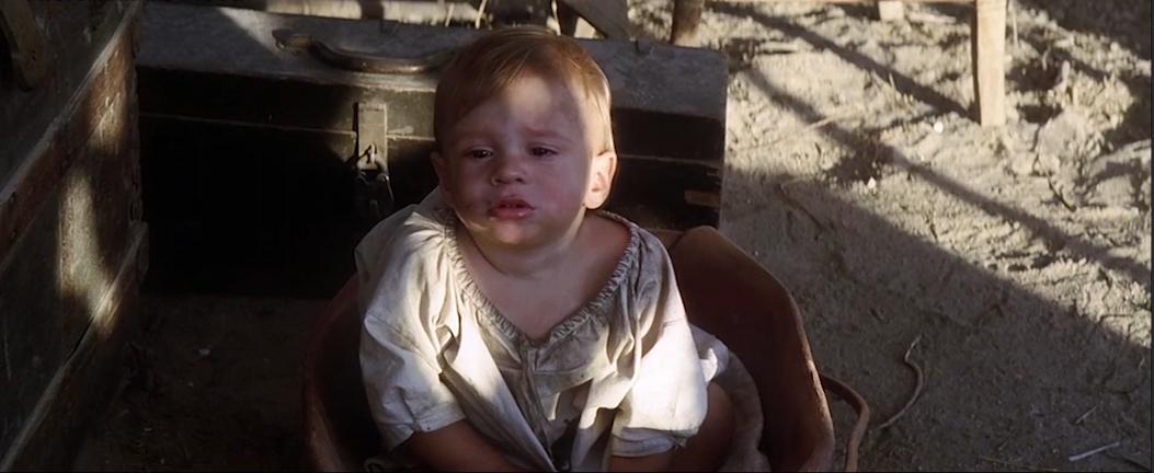 電影眼睛，自然美景的旅行之旅