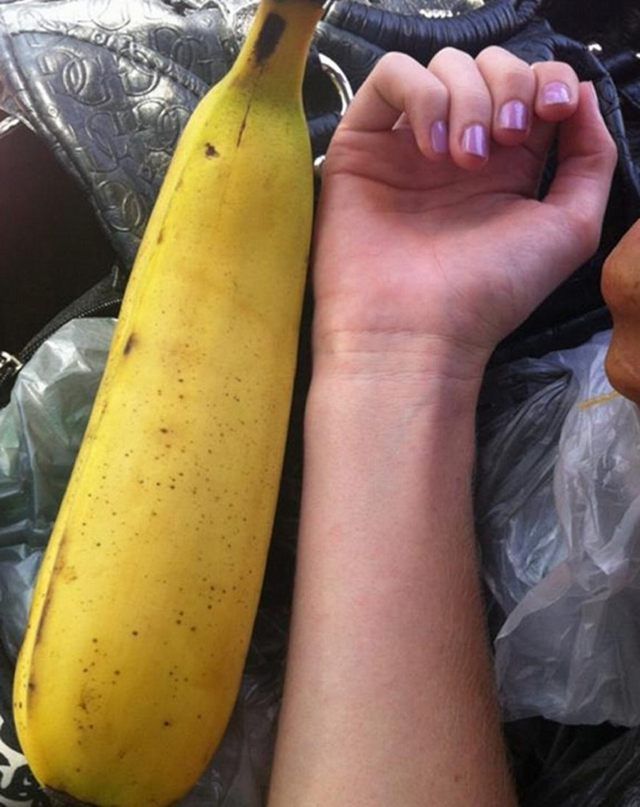 大香蕉最新觀點(diǎn)闡述