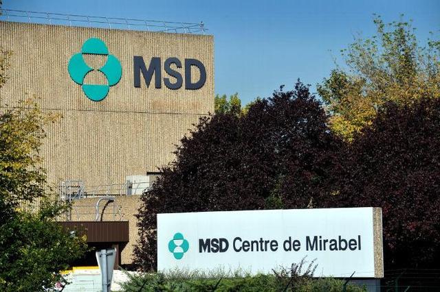 MSD幣實時價格最新動態(tài)，洞悉市場趨勢，掌握最新行情！