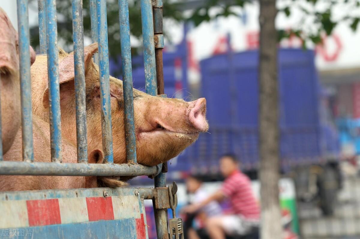 股票銷戶操作指南及注意事項