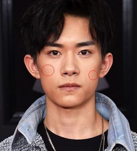 臉上有疤的明星介紹