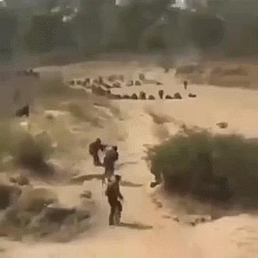 博科圣地最新動(dòng)態(tài)概覽