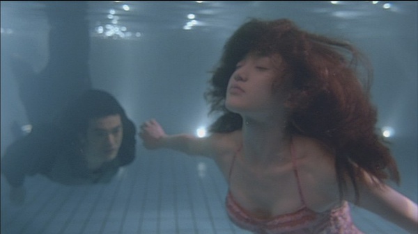 霧里看花完整演員表