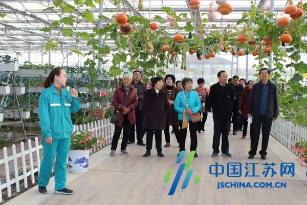 響水德龍最新招聘信息詳解與觀點(diǎn)論述匯總