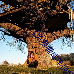 松下紗榮子最新動態(tài)與相關探討熱議