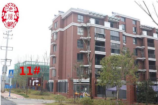 池州東一號(hào)最新動(dòng)態(tài)與觀(guān)點(diǎn)論述深度解析