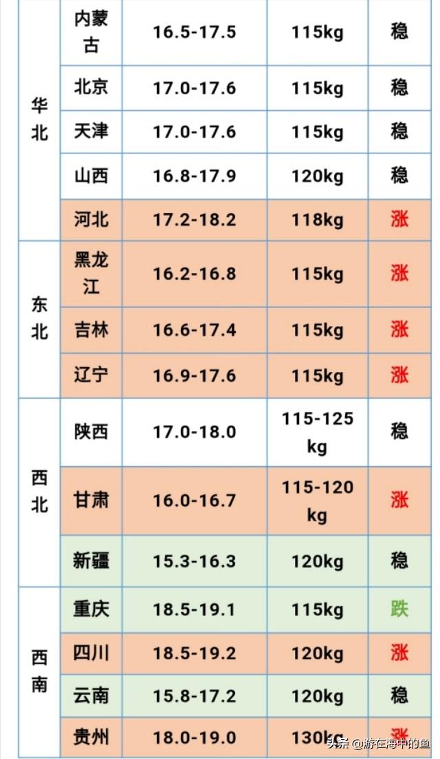 最新生豬價(jià)格分析與論述