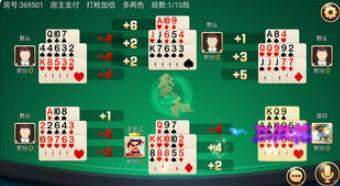 最新二八杠全面解析與體驗(yàn)分享指南