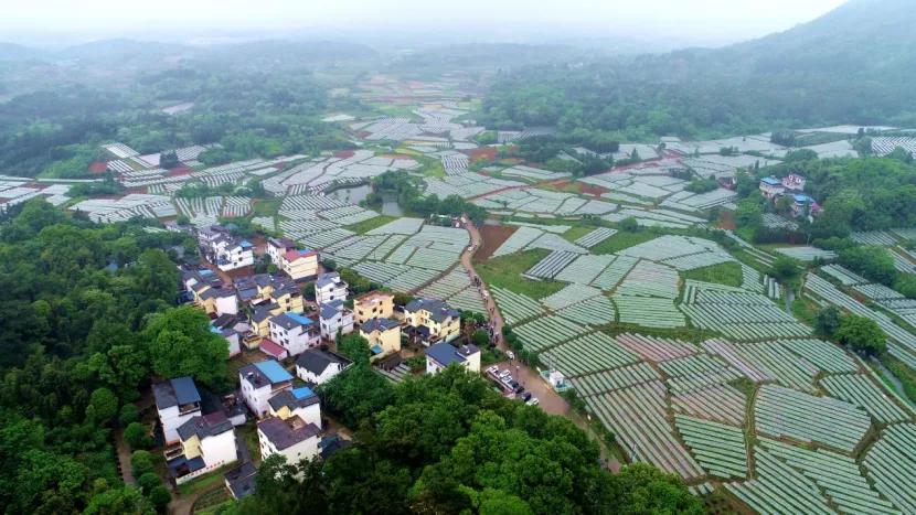 廣西農(nóng)信APP最新版下載深度分析與個人體驗(yàn)分享