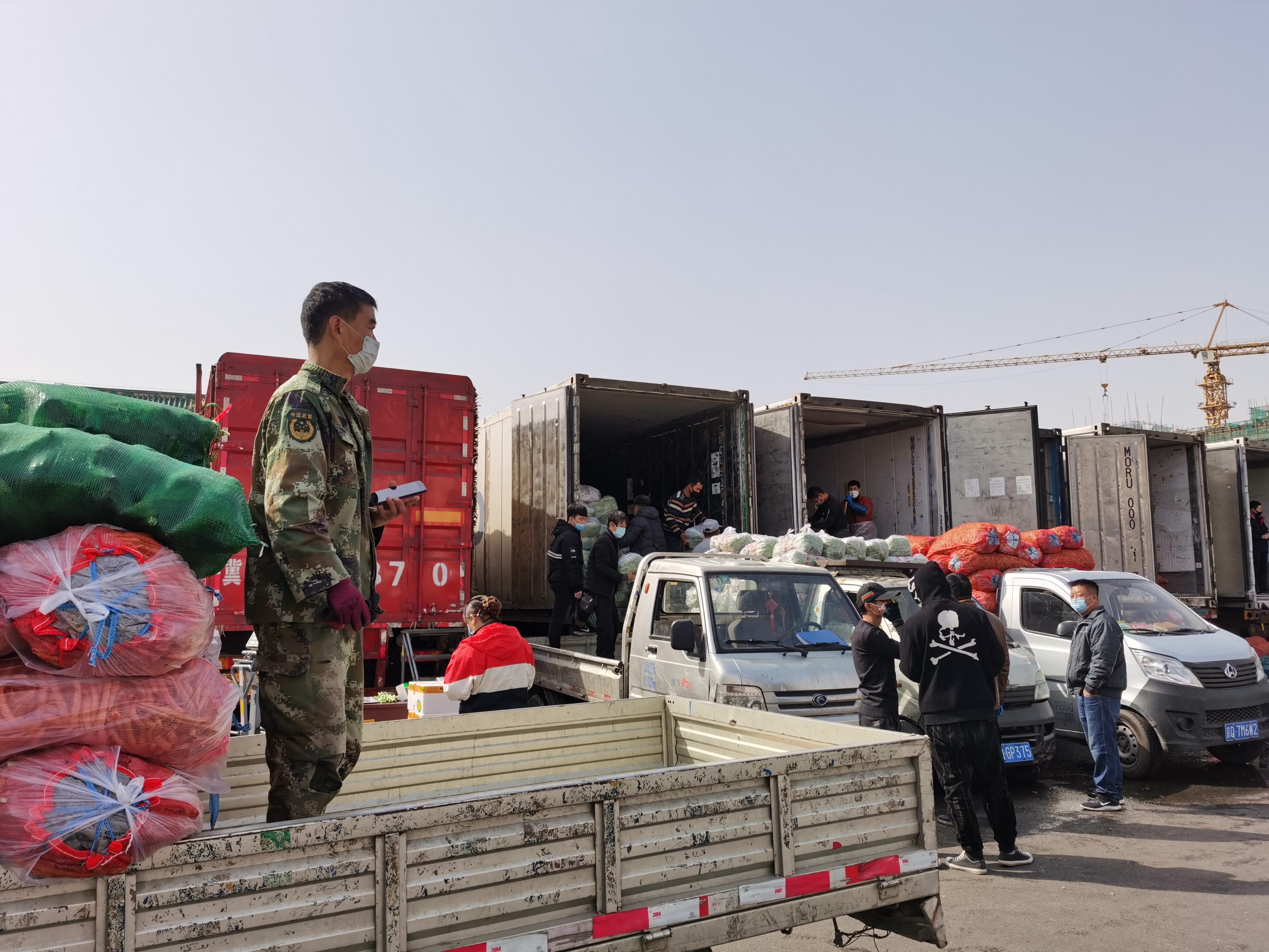 新發(fā)地蔬菜價格行情動態(tài)更新報告