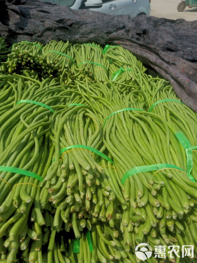 開(kāi)封豆角價(jià)格行情,開(kāi)封豆角價(jià)格行情分析