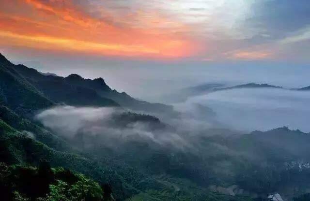 秀山之窗招聘最新消息,秀山之窗招聘最新消息