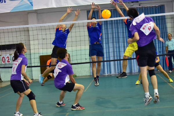 氣排球比賽規(guī)則圖解,自然美景之旅的探險之旅體驗