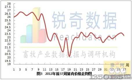 養(yǎng)豬行情預(yù)測(cè)與巷弄深處的秘密小店探秘揭秘