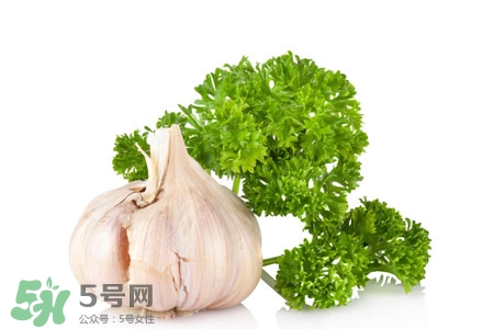 大蒜行情預(yù)測(cè),大蒜行情預(yù)測(cè)