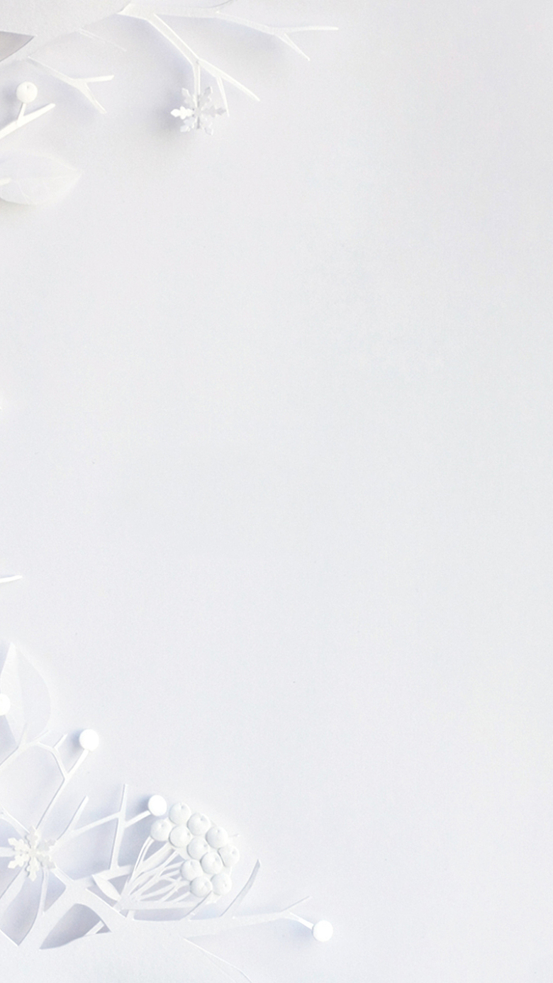 最新白色圖片中的溫馨日常展示