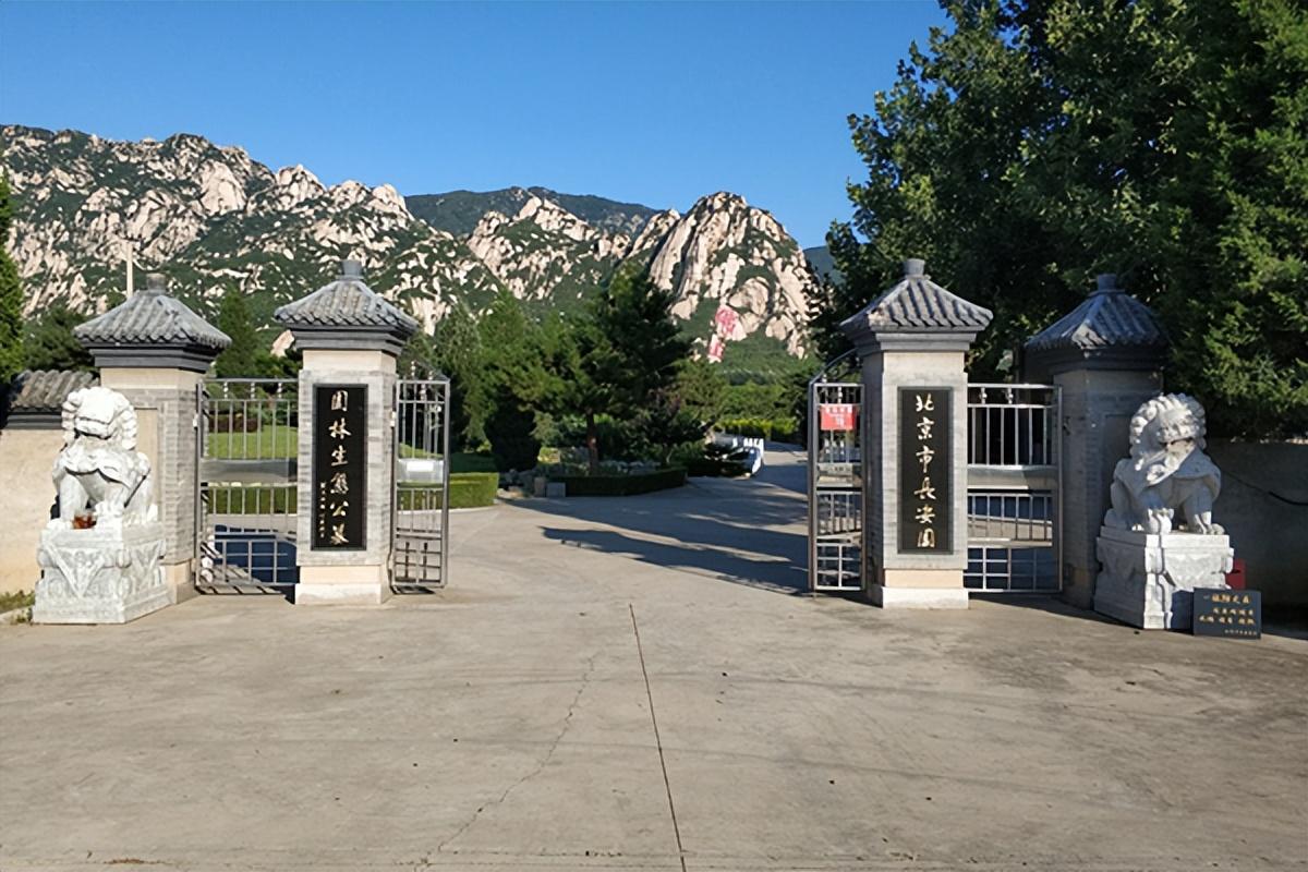 公墓價格查詢背后的溫情故事揭秘