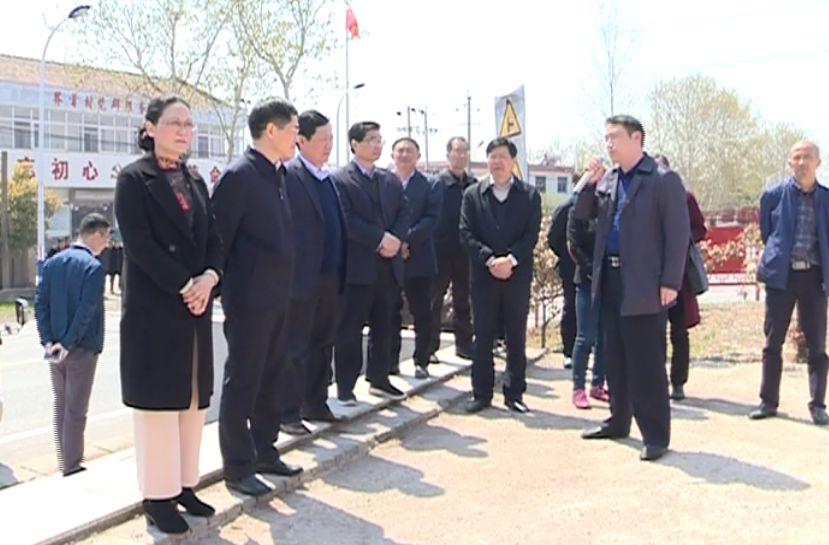 南大光電股票行情深度解析與指導(dǎo)指南