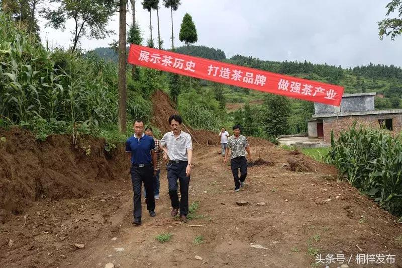 森航比賽,森航比賽的溫馨日常