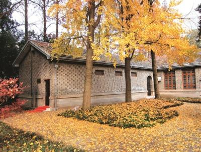 浙江衢州城市發(fā)展的蓬勃活力與獨(dú)特魅力最新資訊報(bào)道