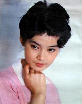 大陸演員,大陸演員與小巷深處的隱藏瑰寶