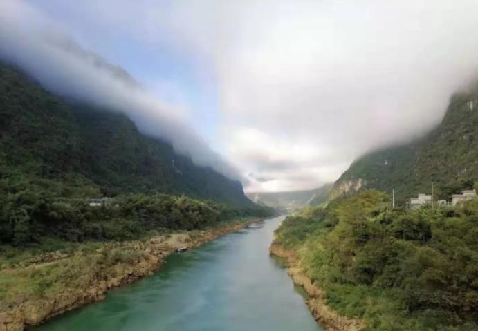 廣西黑山羊苗價格行情,廣西黑山羊苗價格行情解析