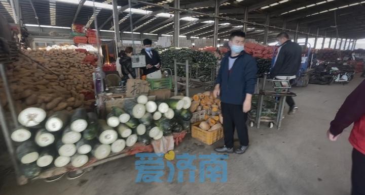 山東最新土豆價(jià)格行情概覽