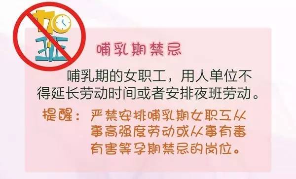 國家哺乳假最新規(guī)定與小巷獨特小店的獨特故事