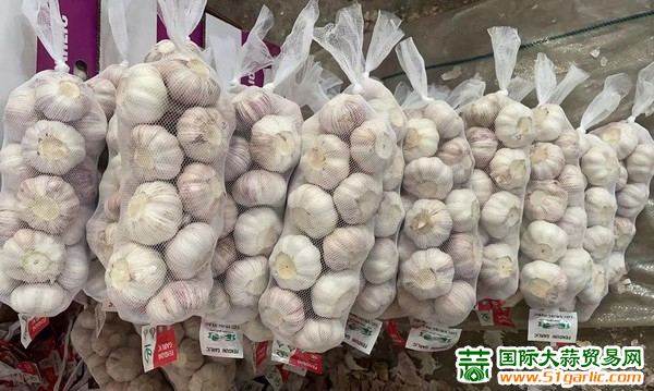 大蒜價格最新行情詳解，今日行情及購買指南