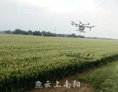 社旗天氣預報及小巷深處的意外發(fā)現(xiàn)