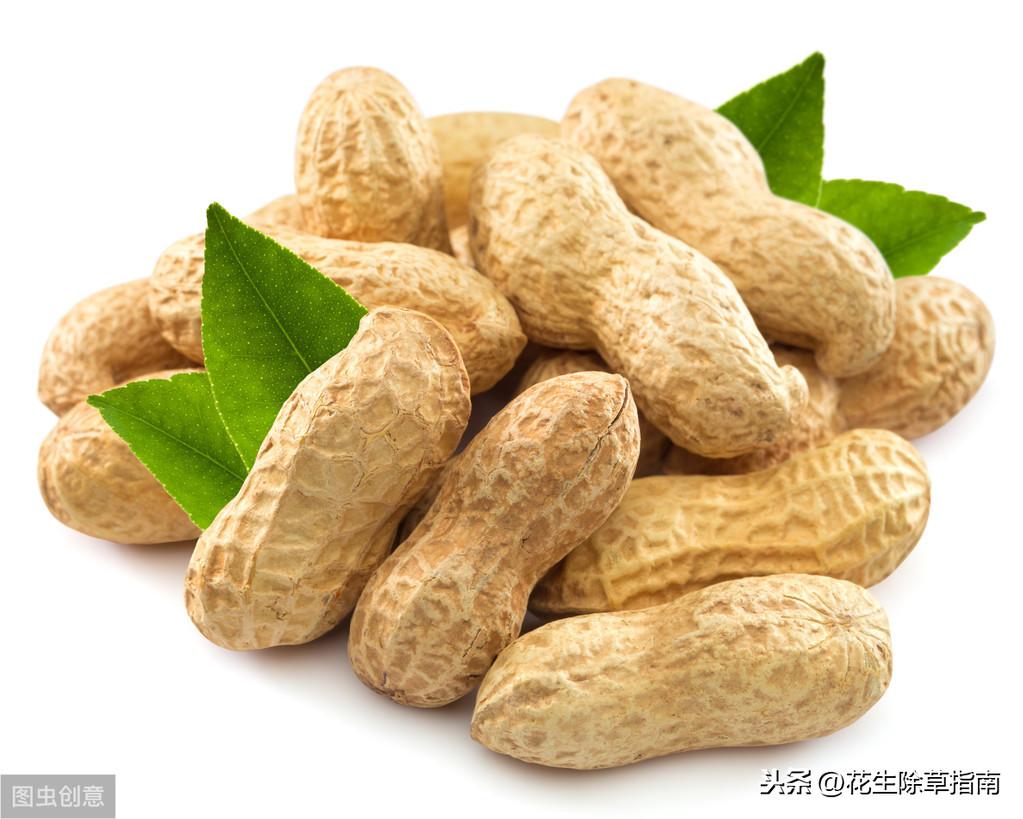 社旗天氣預報及小巷深處的意外發(fā)現(xiàn)