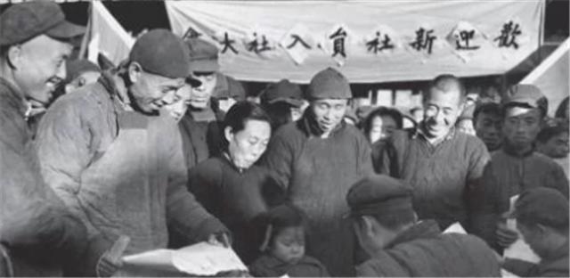 國家土地法最新規(guī)定及步驟指南解析