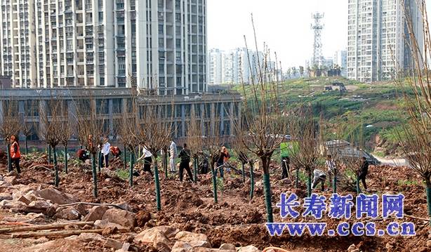 長壽區(qū)晏家街道最新發(fā)展規(guī)劃概述