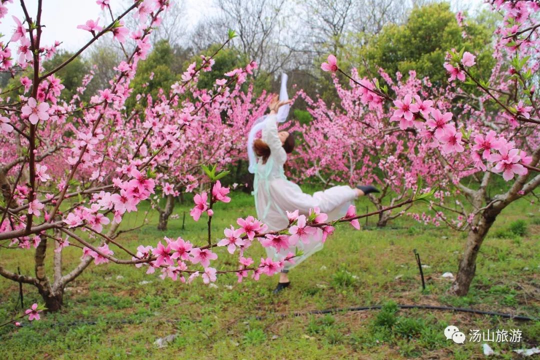性春暖花最新地址探索與反思