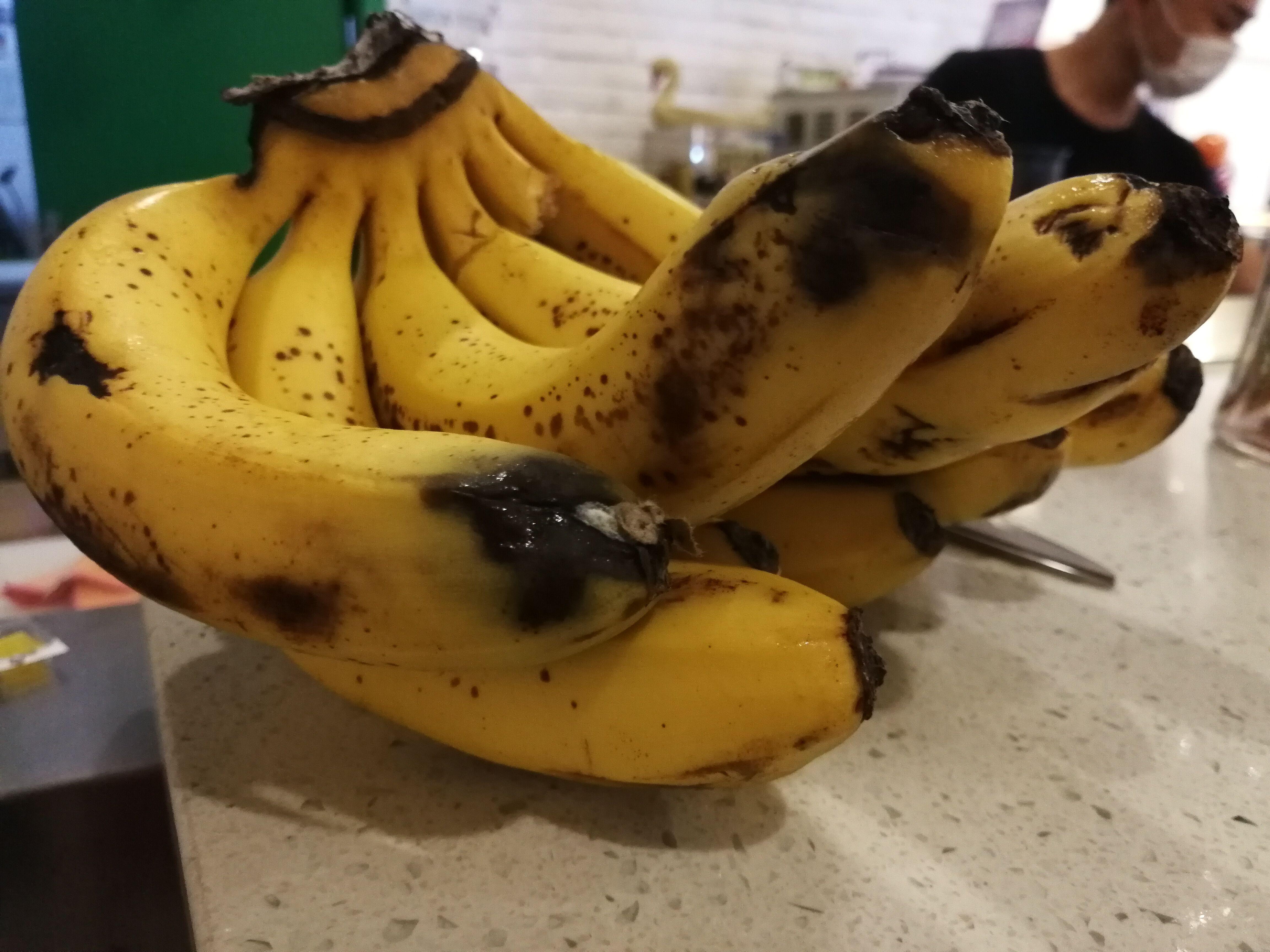 產(chǎn)品質(zhì)量法最新版本及科技產(chǎn)品介紹概覽